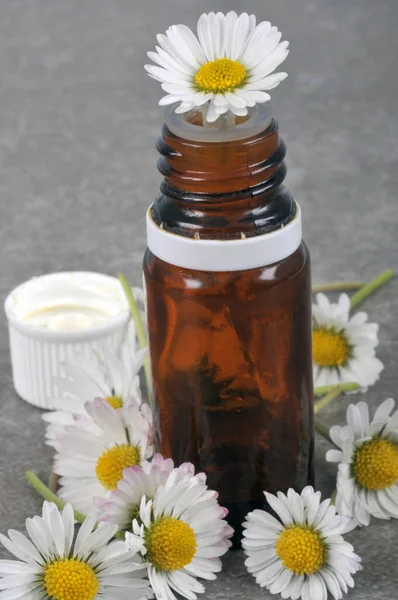 Eine Flasche Ätherisches Kamillenöl Nahaufnahme Auf Grauem Hintergrund — Stockfoto