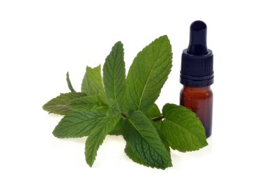 Bir şişe nane yağı beyaz arka plana kapanıyor. 