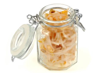 Beyaz arka planda bir kavanoz fasulye filizi.