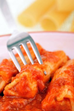 Domates soslu bir tabak cannelloni.