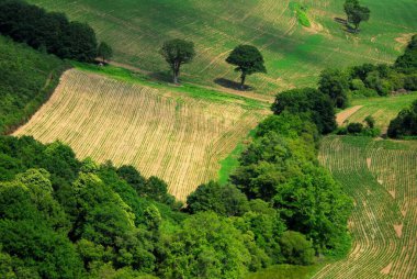 Brittany 'deki bir tarlanın havadan görüntüsü 