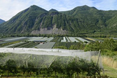 Fransa 'da Hautes-Alpes Meyve Bahçeleri