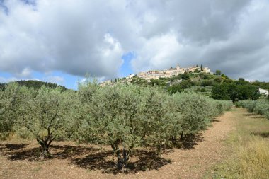 Hautes-Alpes 'de zeytin ağaçları olan Montfort köyü.