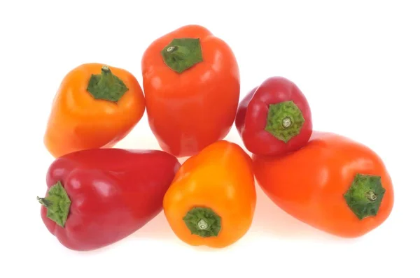 Small Peppers Different Colors Close White Background — Stock Photo, Image