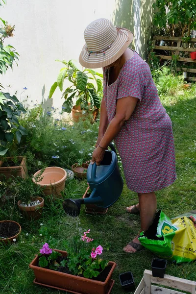 Mujer Regando Plantas Geranio — Foto de Stock