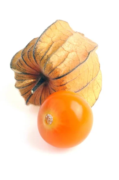 Physalis Close Sobre Fundo Branco — Fotografia de Stock