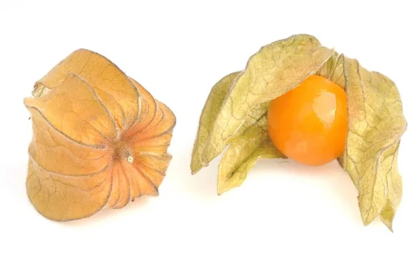 Physalis Dalam Close Latar Belakang Putih — Stok Foto