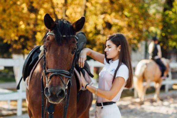 Reiterin Mit Pferd Selektiver Fokus — Stockfoto