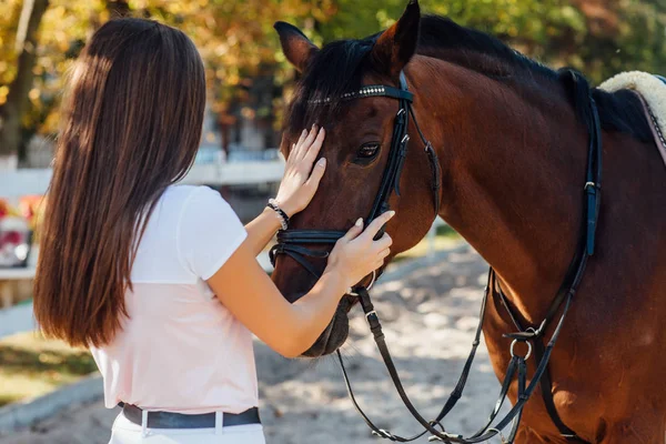 Vrouwelijke Ruiter Met Paard Selectieve Focus — Stockfoto