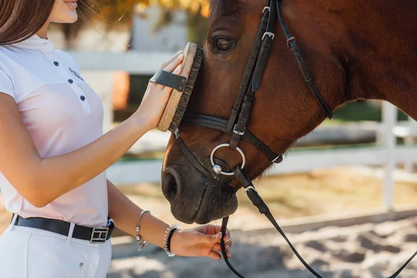 Vrouw Handen Kammen Paard Selectieve Focus — Stockfoto