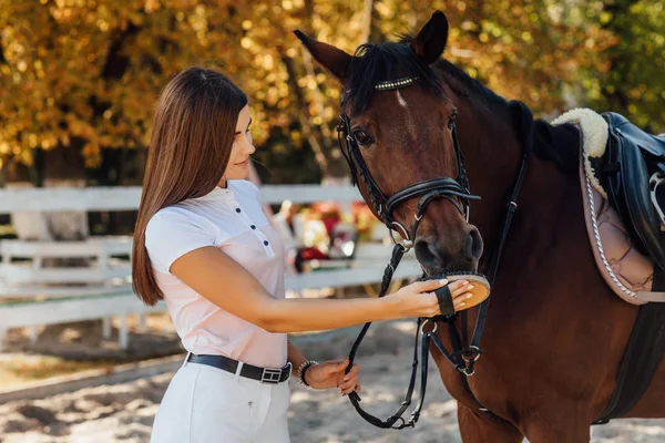 馬を持って来る若い女性 選択的な焦点 — ストック写真