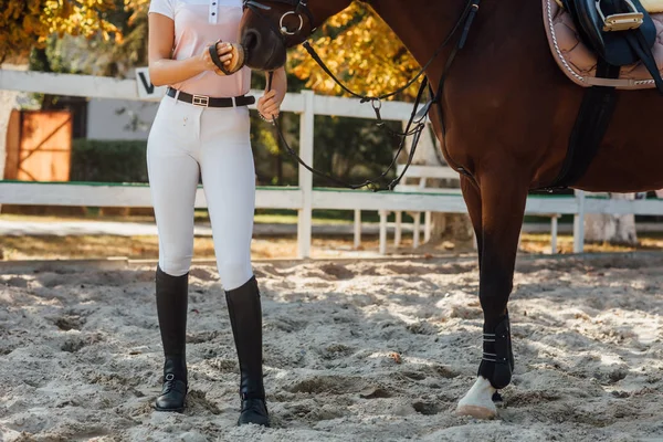 白い制服を着た馬場馬術馬やライダーの足 — ストック写真