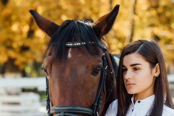 Jovem Com Cavalo Castanho Foco Seletivo — Fotografia de Stock
