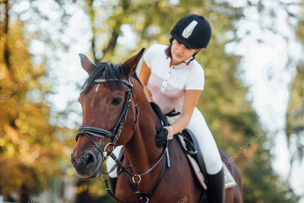 female rider with horse, selective focus