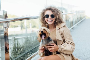 Küçük Chihuahua köpeği ve beyaz güzel bir kadın parkta oyun oynayıp eğleniyorlar..