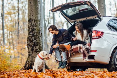 Genç çift, sonbahar ormanlarında köpekleriyle otomobillerinin yanında piknik yapıyor..