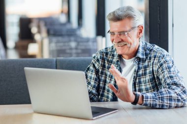 Kafede dizüstü bilgisayarla konuşan mutlu son sınıf öğrencisinin portresi..