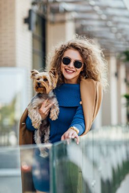 Çıplak ceketli başarılı çekici kadın kameraya bakıyor ve Yorkshire Teriyeri 'ni tutuyor. Yorkshire Terrier konsepti. Moda kadını konsepti.
