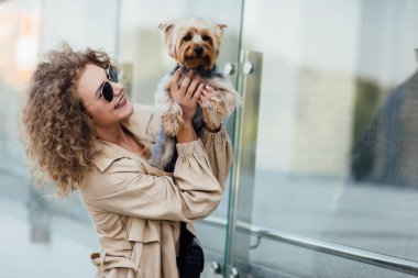 Bir köpek cinsi Chihuahua ile çıplak elbiseli genç bir kadının yaz portresi. Güzel konsept.