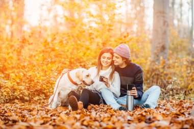 Genç çift parkta köpekleriyle piknik yapıyor, battaniyeye uzanıyorlar..