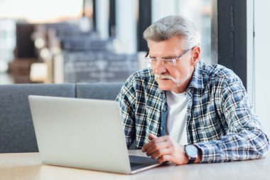 Kafede dizüstü bilgisayarla konuşan son sınıf öğrencisinin portresi..