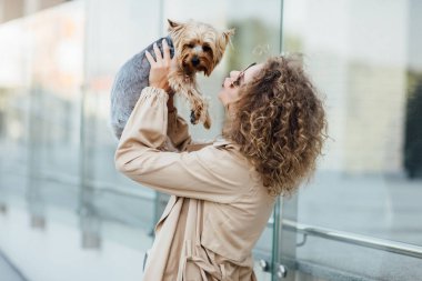 Bir köpek cinsi Chihuahua ile çıplak elbiseli genç bir kadının yaz portresi. Güzel kavram. Köpeği öpmek..