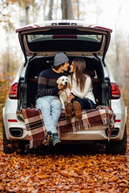 Genç evli çift, sonbahar ormanlarında arabalarında küçük Labrador 'larıyla piknik yapıyorlar..