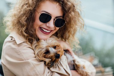 20-24 yaşlarında güzel bir genç kız köpek chihuahua tutuyor. Kameraya bakıyorum. Birliktelik.