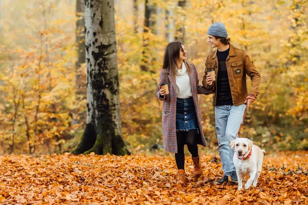 Family and hot autumn drink, couple in love holding cups of tea or coffee and holding hands, walking with labrador.