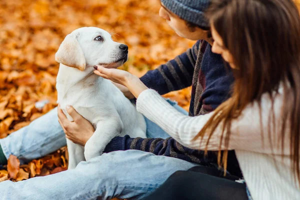 Pareja Romántica Con Perro Sentado Fondo Del Bosque Otoño Con — Foto de Stock