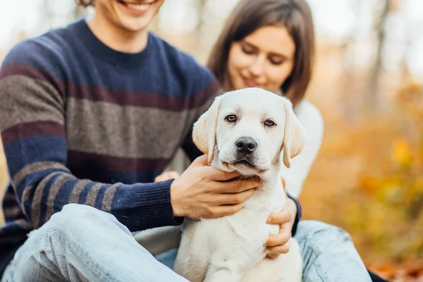 Pareja Romántica Con Labrador Recuperador Oro Sentado Bosque Otoño Joven — Foto de Stock