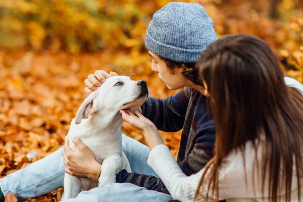 Romantische Paar Mit Hund Sitzt Herbst Wald Hintergrund Mit Kleinem — Stockfoto