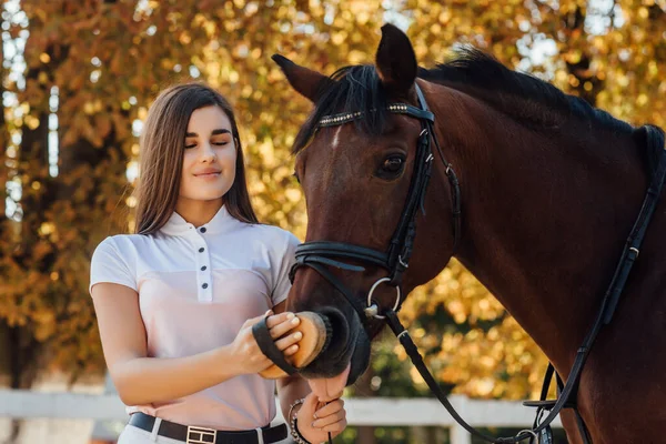 Jonge Boer Vrouw Kammen Haar Paard Concept Paardensport Liefde Tussen — Stockfoto