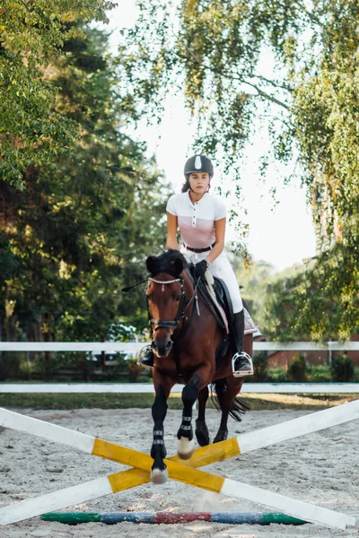 Joven Jinete Sobre Caballo Saltando Por Encima Obstáculo — Foto de Stock