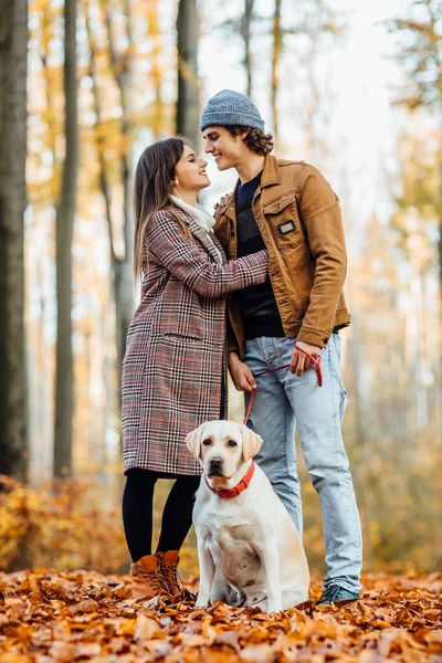 Propietarios Caminando Labrador Retriever Aire Libre Día Otoño — Foto de Stock