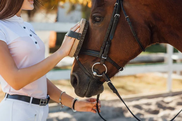 Gesneden Beeld Jonge Boer Brunette Vrouw Handen Kammen Haar Paard — Stockfoto