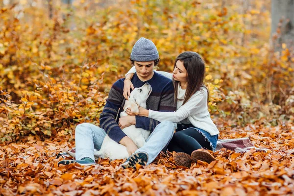 Schönes Junges Paar Genießt Picknick Wald Mit Goldenem Labrador — Stockfoto