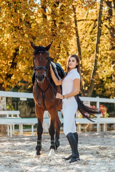 Mooi Meisje Met Haar Paard Wandelen Samen Herfst Bos — Stockfoto