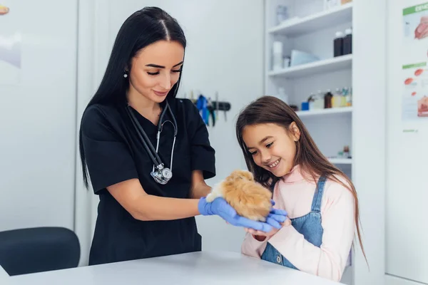 Doctor in black uniform, small daughter with their chinchilla pet at veterinary.