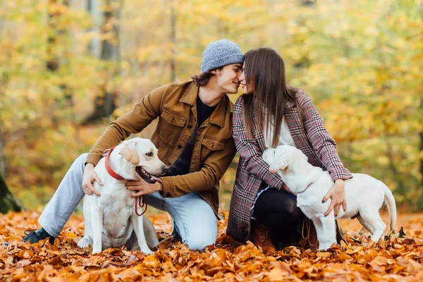 Piękna Romantyczna Para Bawi Się Swoim Psem Złotym Labradorem Lesie — Zdjęcie stockowe