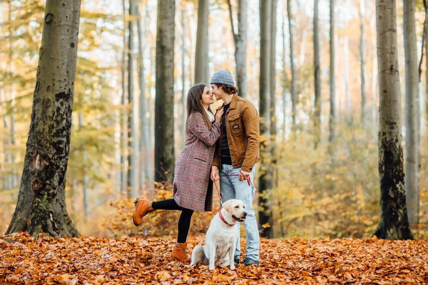 Familie Spaziert Mit Goldenem Labrador Roten Halsband Herbstpark — Stockfoto