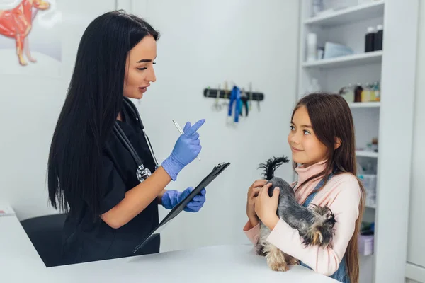 Γυναίκα Κτηνίατρος Γιατρός Και Ελκυστικό Κορίτσι Του Κλινική Κτηνίατρο Εξετάζουν — Φωτογραφία Αρχείου