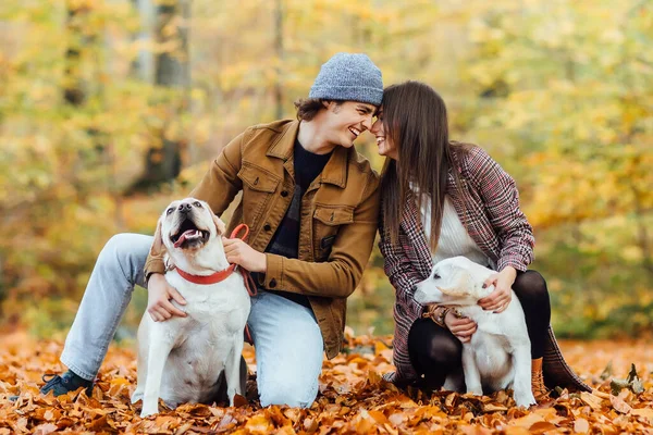 Hermosa Pareja Romántica Divierte Con Perro Labrador Dorado Bosque Otoño — Foto de Stock