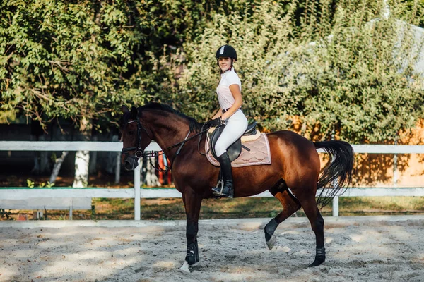 コピースペースと秋の馬術スポーツイベント 若い女性乗馬ベイ馬上のドレッジ高度なテスト — ストック写真