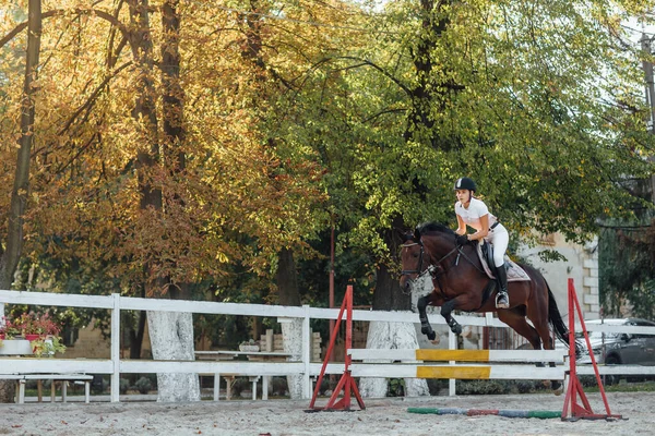 秋の時にハードルを飛び越える馬術競技の若い女性の馬のライダースポーツ女性 — ストック写真