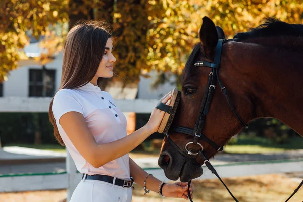 Jovem Agricultor Mulher Morena Penteando Seu Cavalo Conceito Sobre Amor — Fotografia de Stock