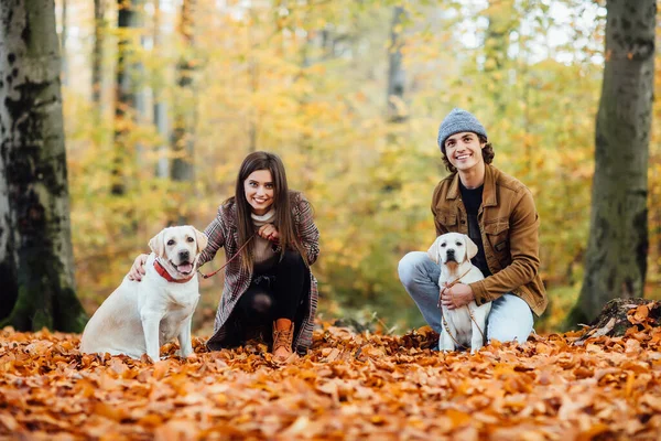 Hermosa Pareja Sus Dos Labradores Dorados Caminan Juntos Parque Otoño — Foto de Stock