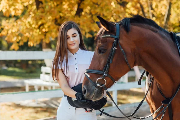 Happy Jockey Girl Taking Care Leading Her Favorite Horse Girl — Stock Photo, Image