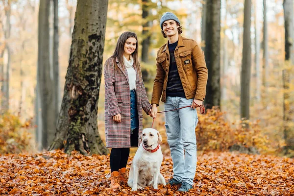 Familie Wandelen Met Gouden Labrador Rode Kraag Het Najaarspark — Stockfoto