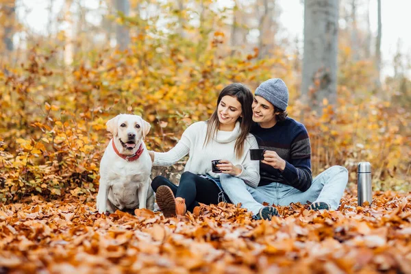 Junges Paar Beim Picknick Mit Seinem Goldenen Labrador Park Auf — Stockfoto